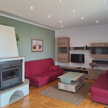 Apartment Kriskovic 诺维·维诺多尔斯基 外观 照片